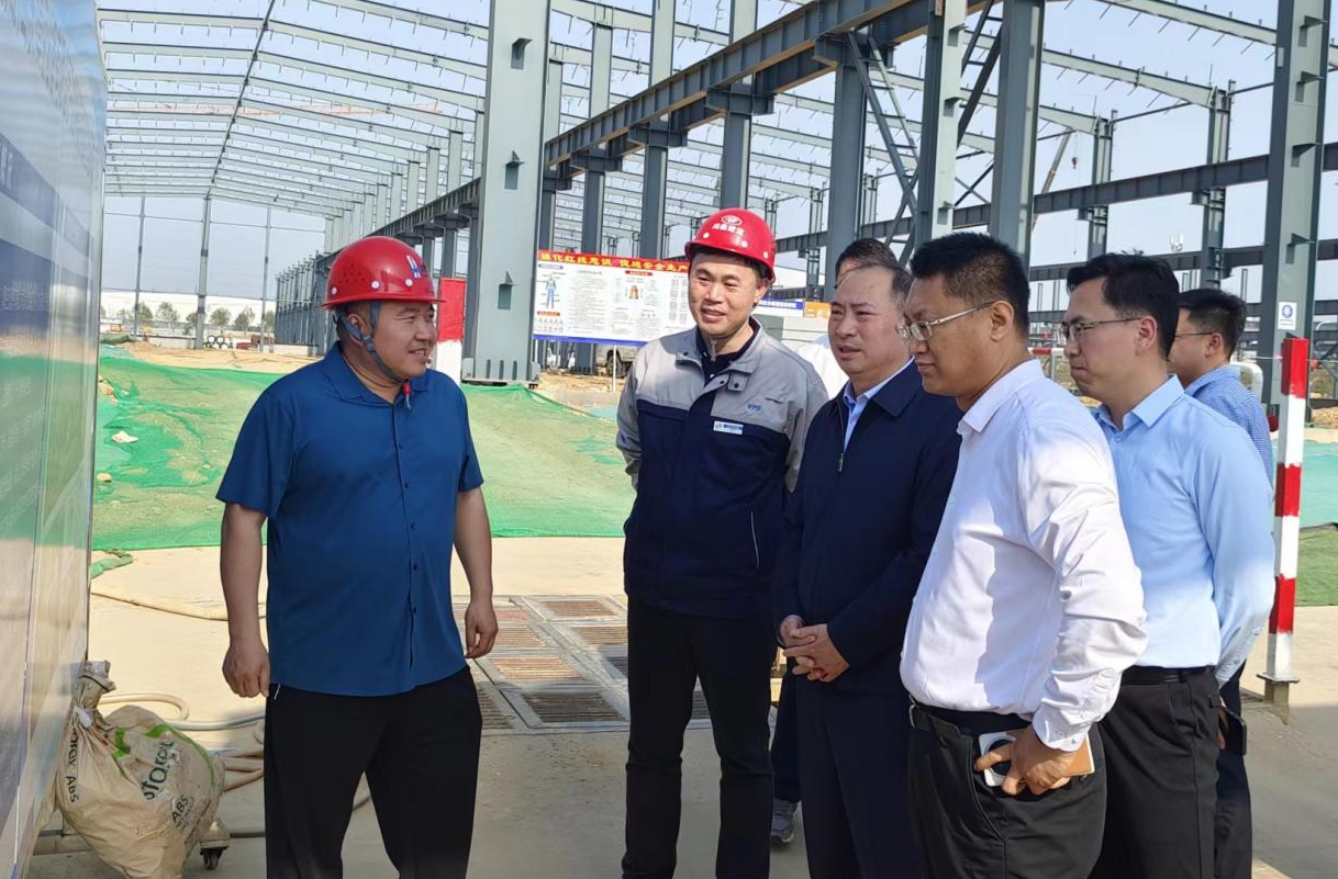 Lingang District leaders inspect the construction 